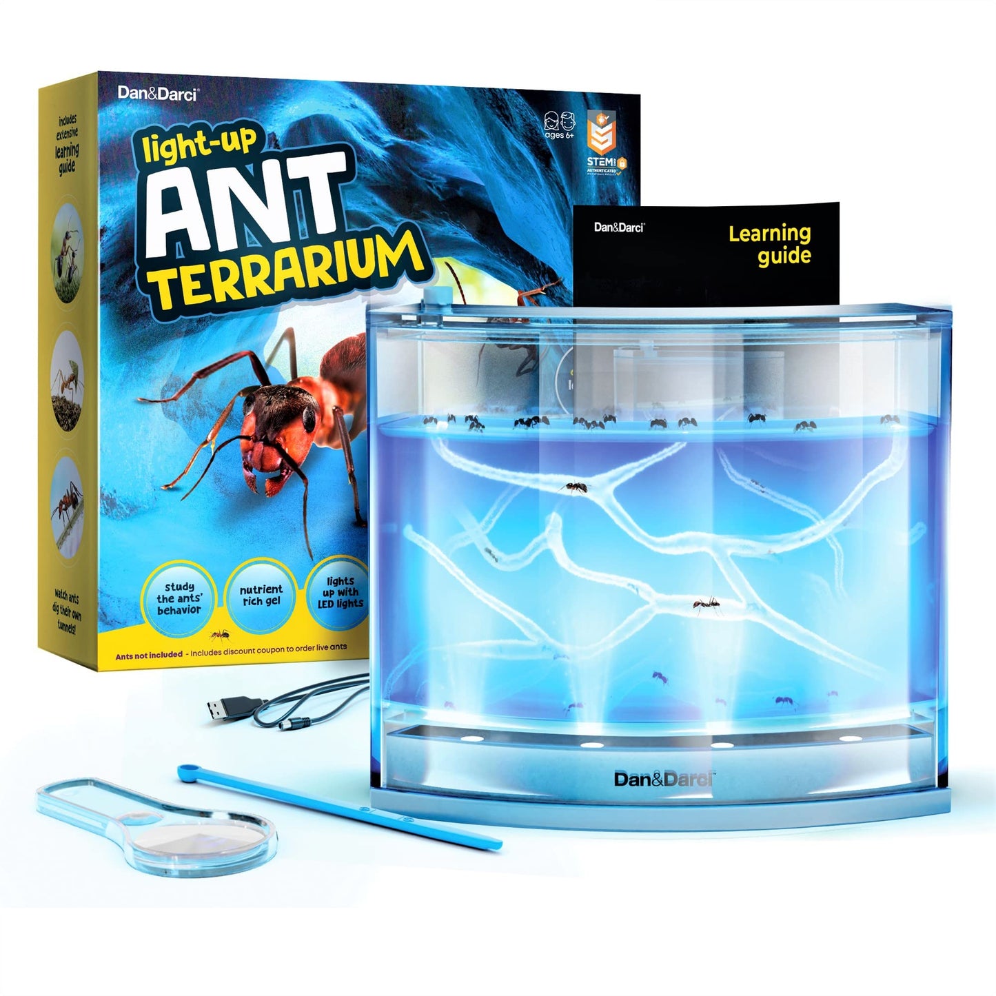 Light Up Ant Terrarium