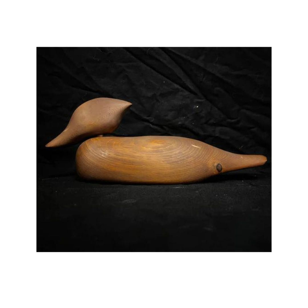 Brown Decoy Duck