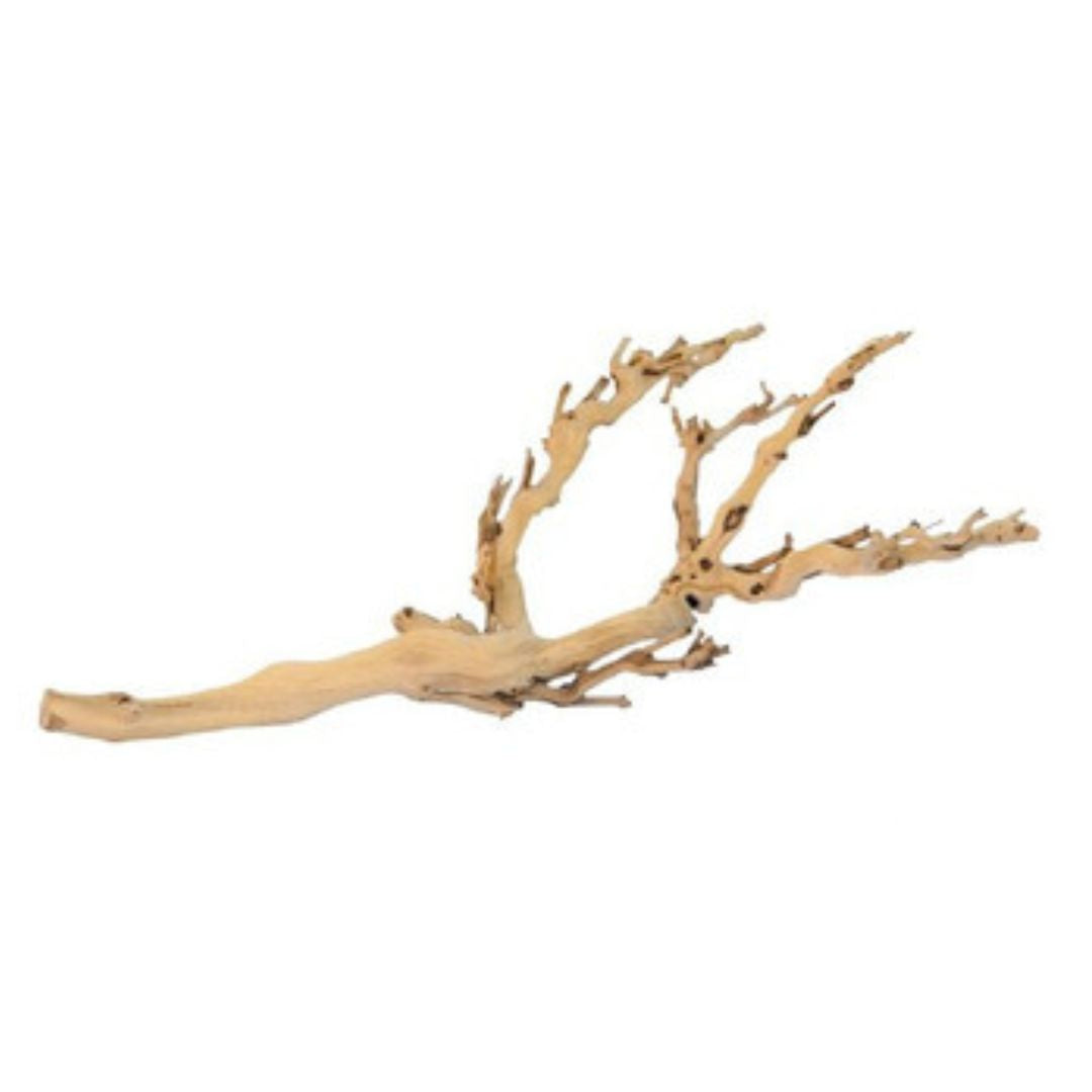 Exo Terra Forest Branch Medium