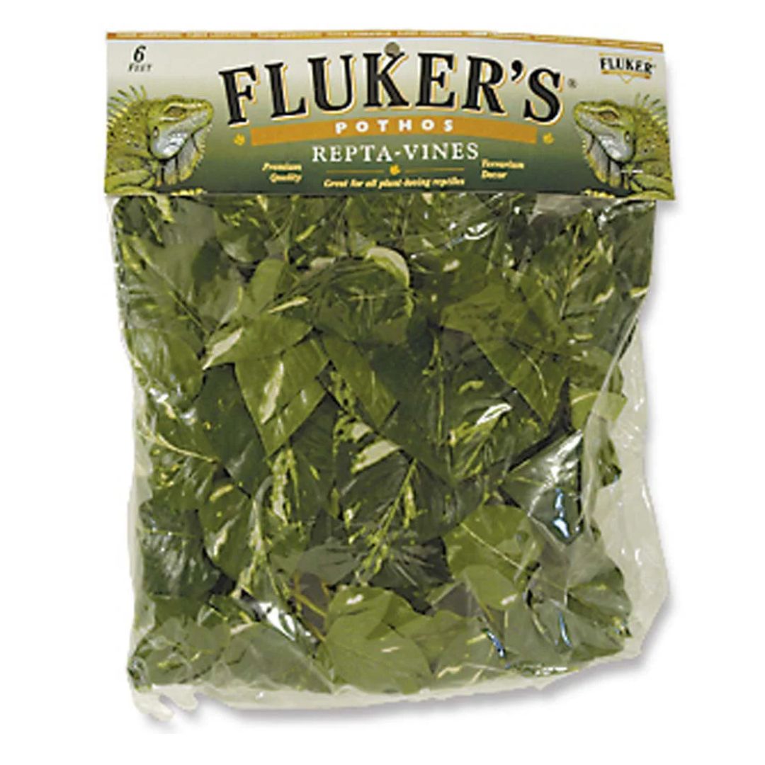 6 Ft. Flukers Pothos Rept Vines
