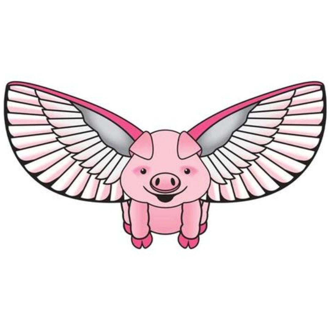 FLYING PIG SUPERSIZE 2D KITE
