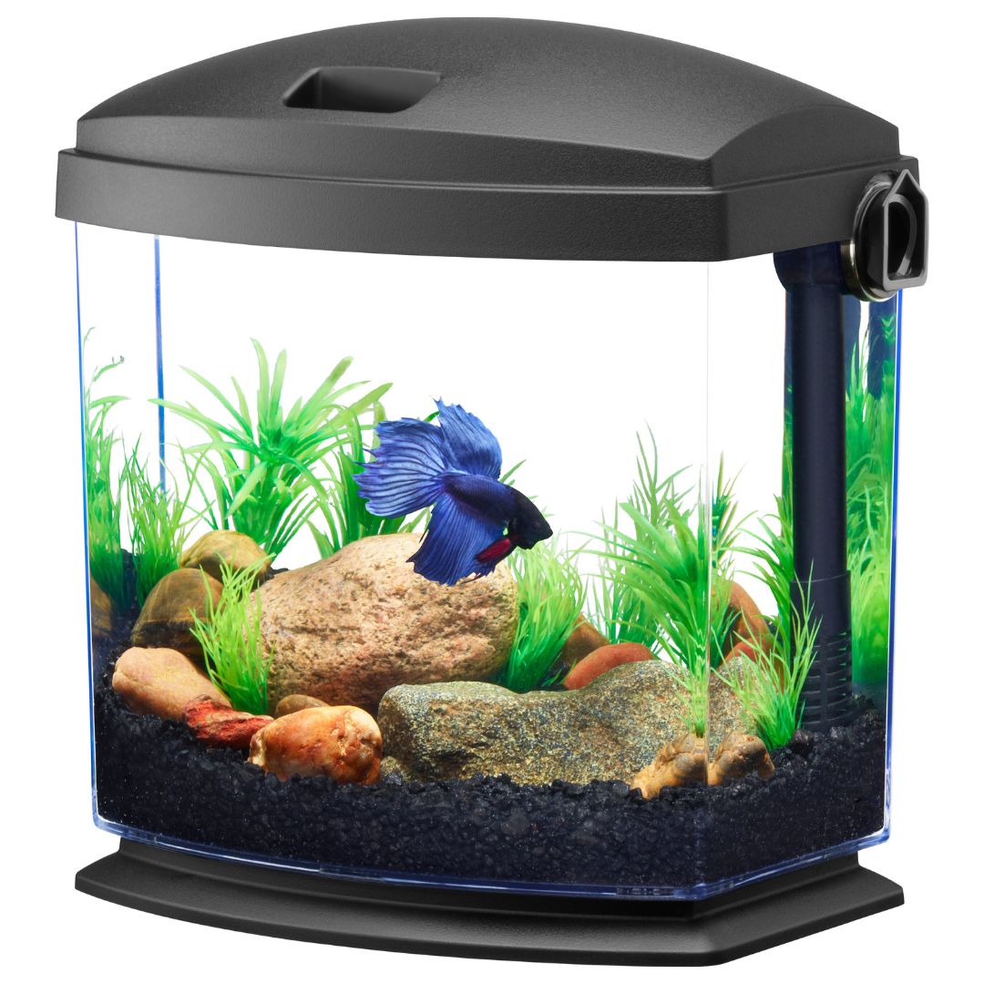 Aqueon Betta Bowl 1 Gal.