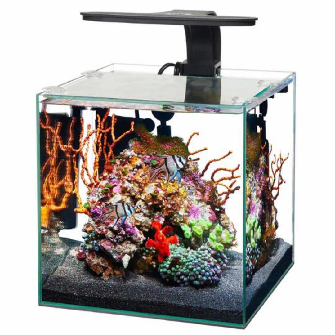 Aqueon Frameless 3 Gal.