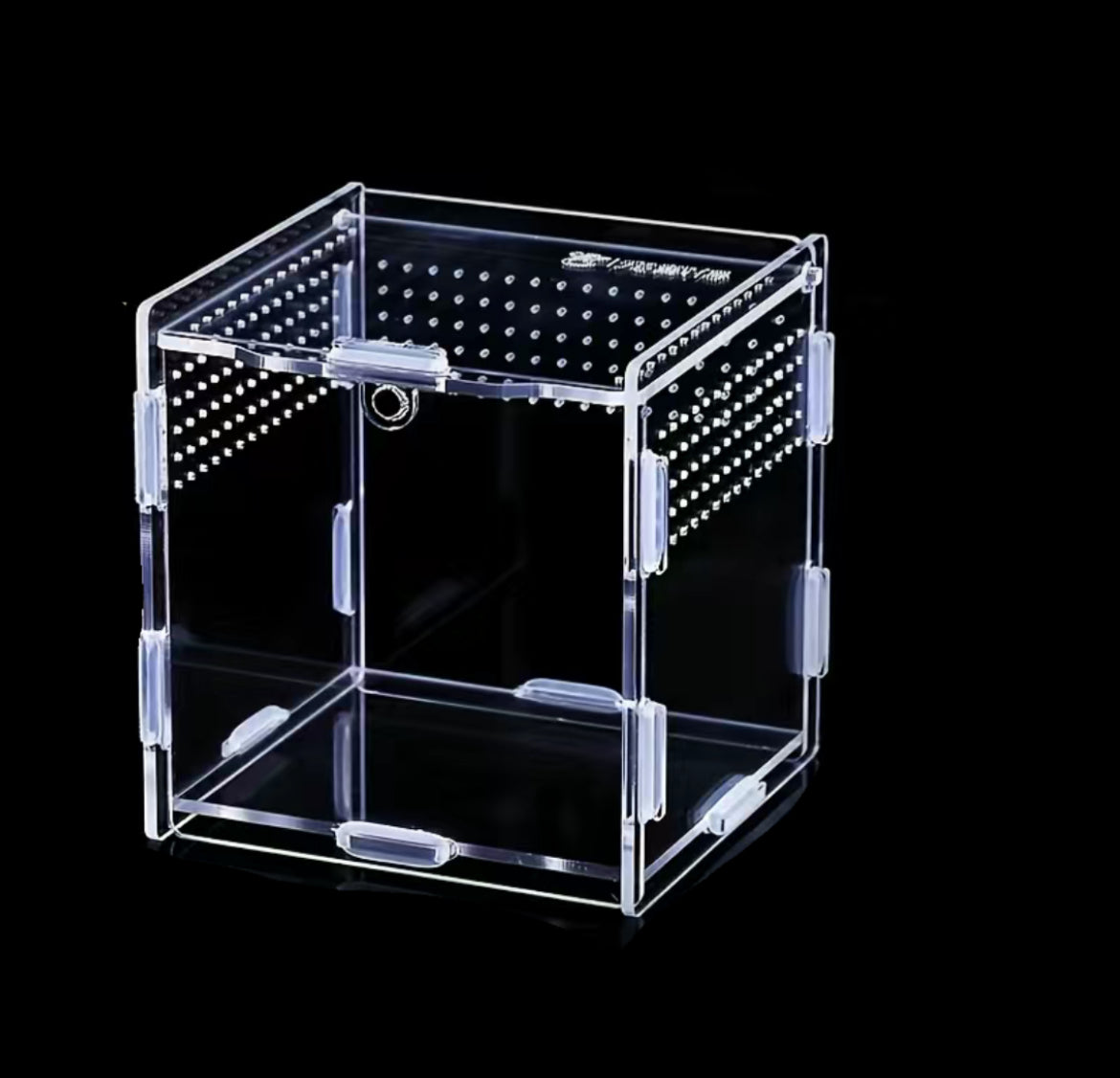 Portable Insect Terrarium