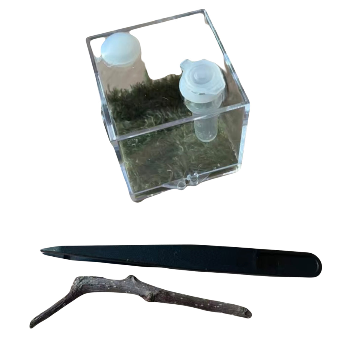Acrylic Reptile Terrarium Breeding Box
