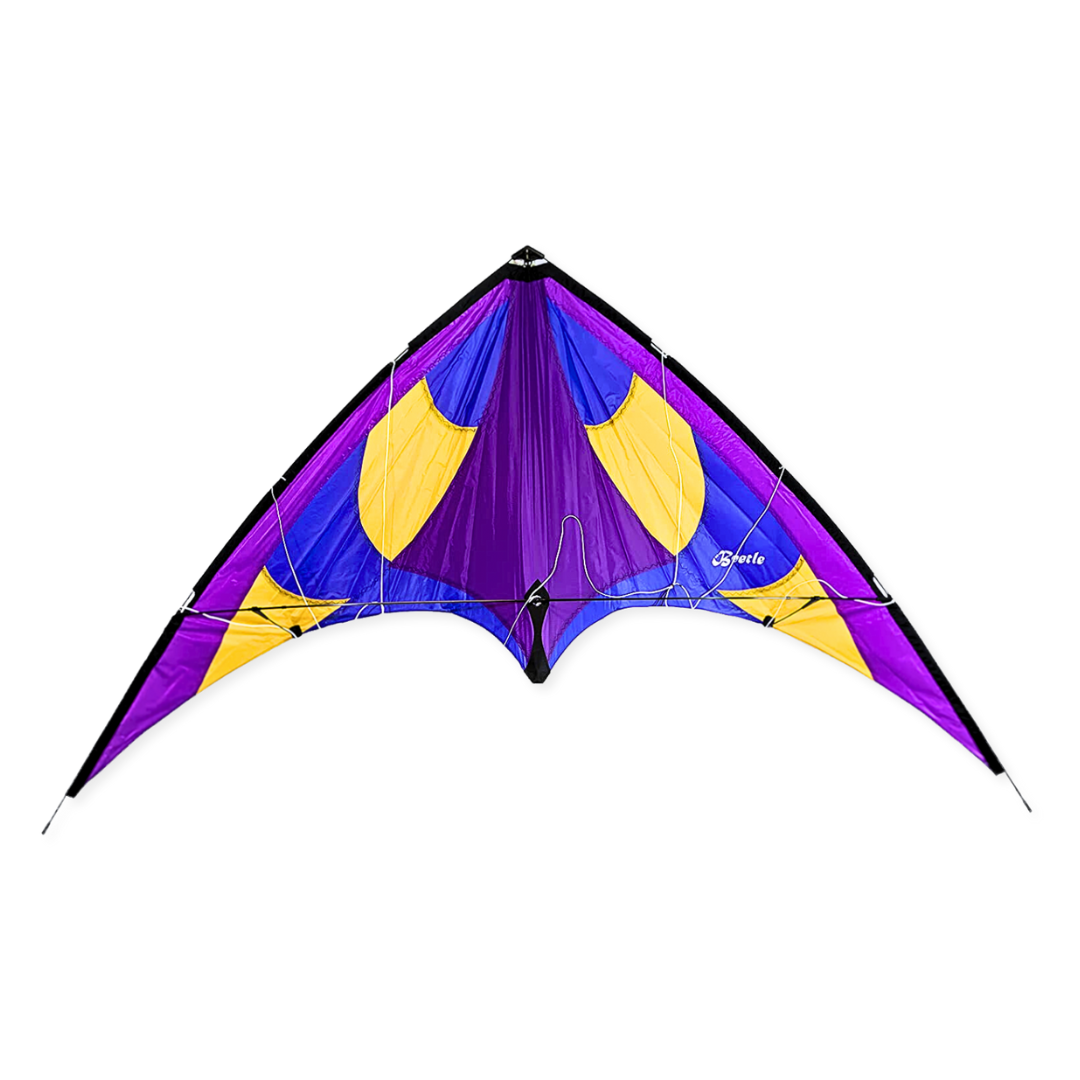 Purple Beetle 4 with Dyneema Lines