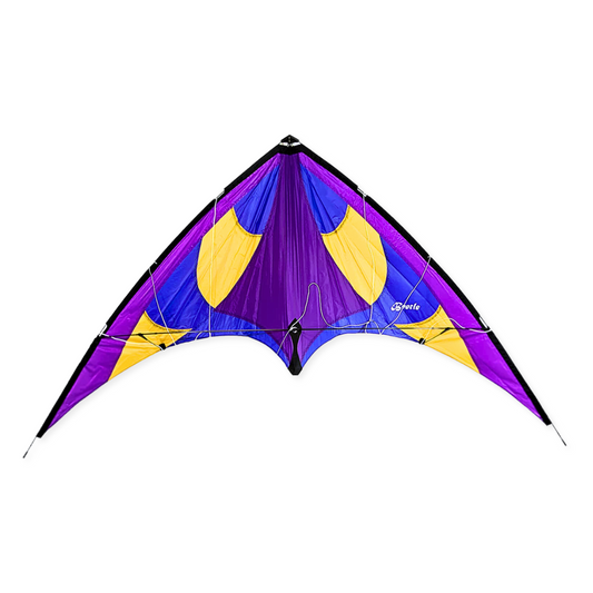 Purple Beetle 4 with Dyneema Lines