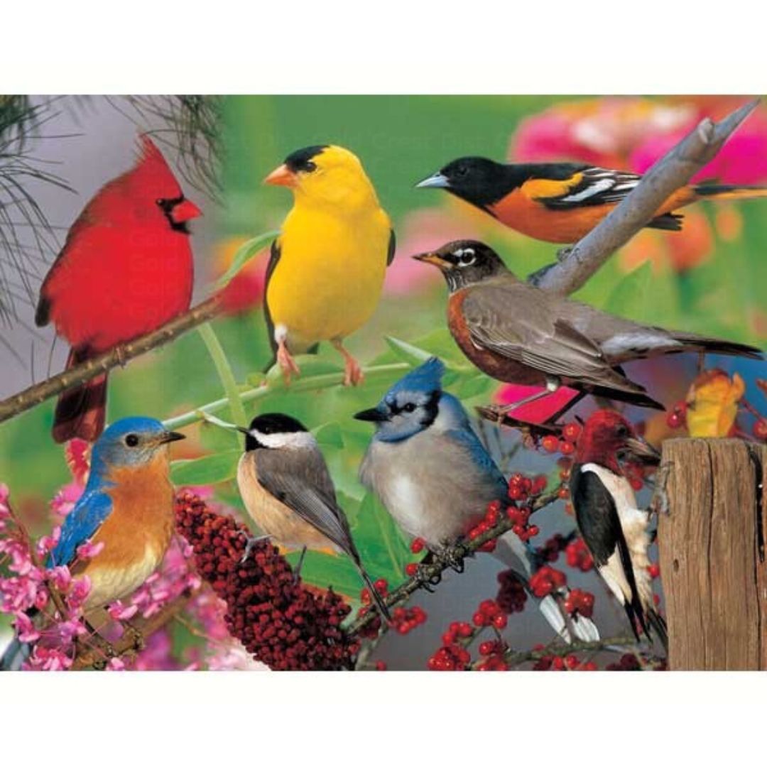 Backyard Birds Puzzle