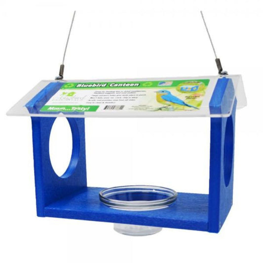 Recycled Bluebird Canteen