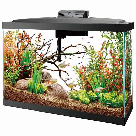 Aqueon 13 gal Widescreen LED Kit