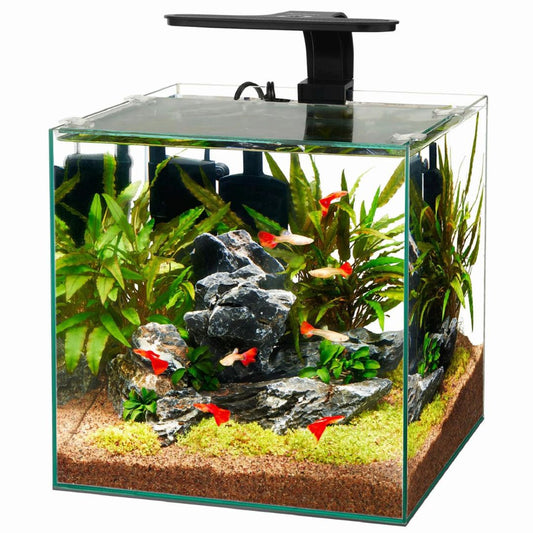 Aqueon Frameless 1 Gal.