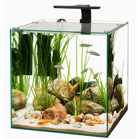 Aqueon Frameless 6 Gal.