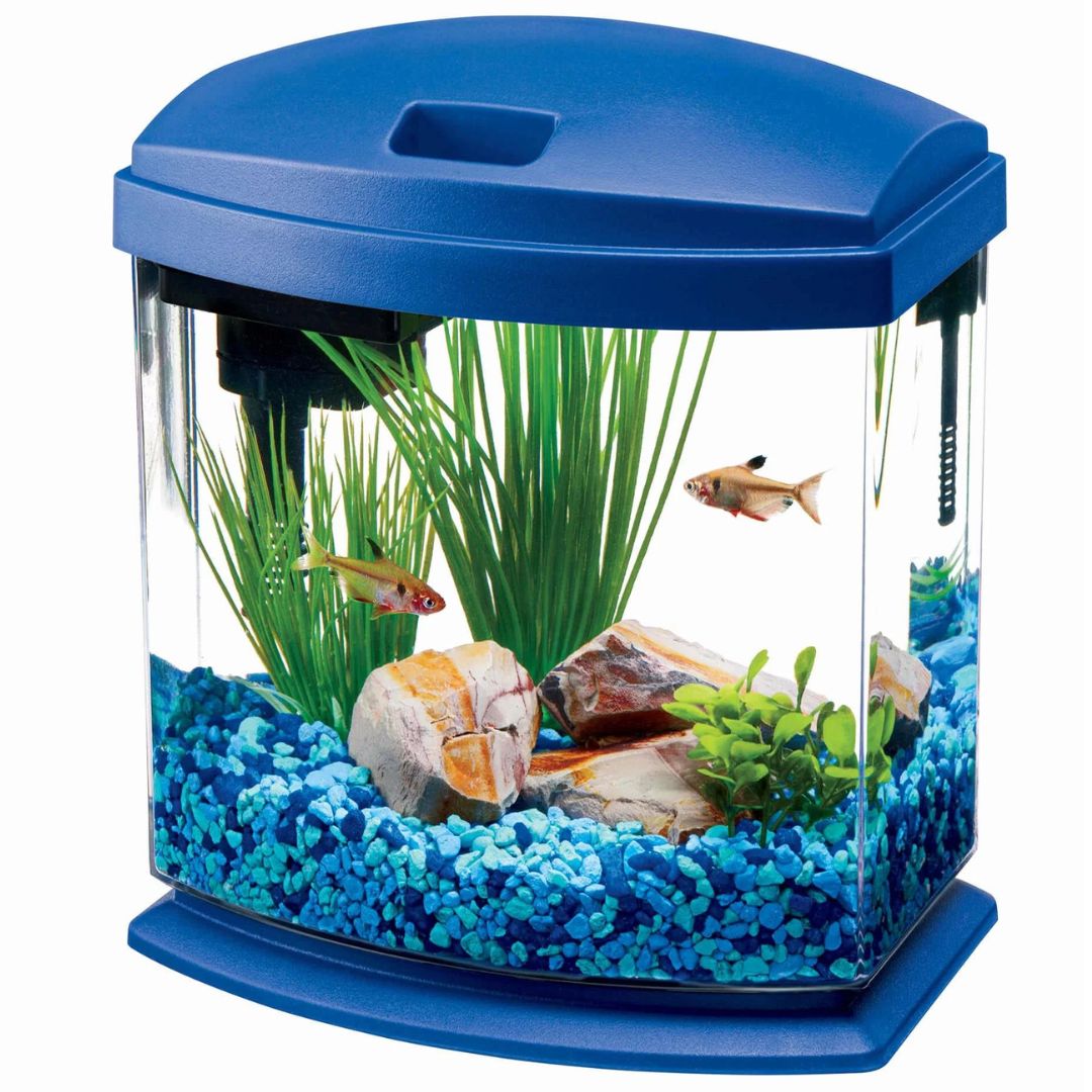 Aqueon MiniBow 1 Gal Aquarium