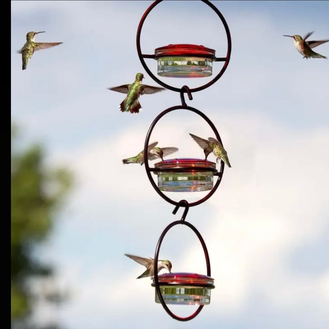 Ant And Bee Proof Hanging Hummingbird Feeder