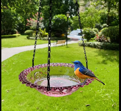 Hanging Feeder Or Bird Bath