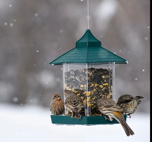 Hanging Wild Bird Feeder