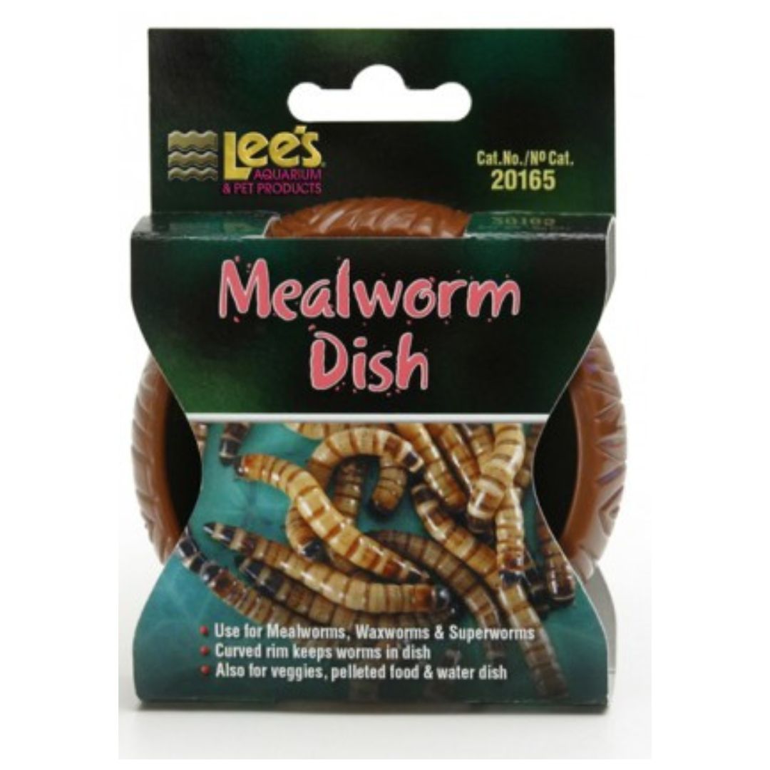 Lee's Mealworm Dish