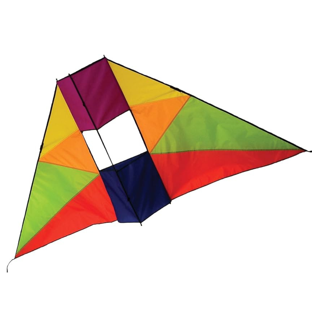 6' Rainbow Conyne Delta Kite