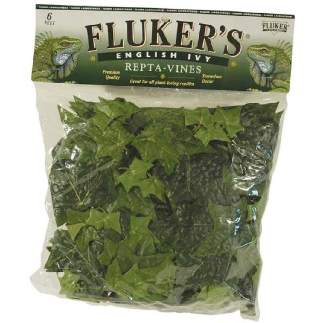 Flukers English Ivy Repta Vines