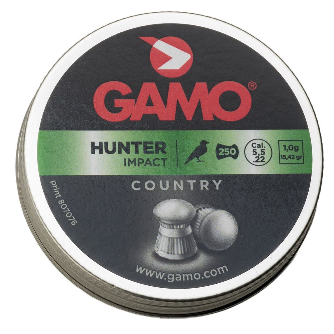 Gamo Hunter Impact .22 Cal.