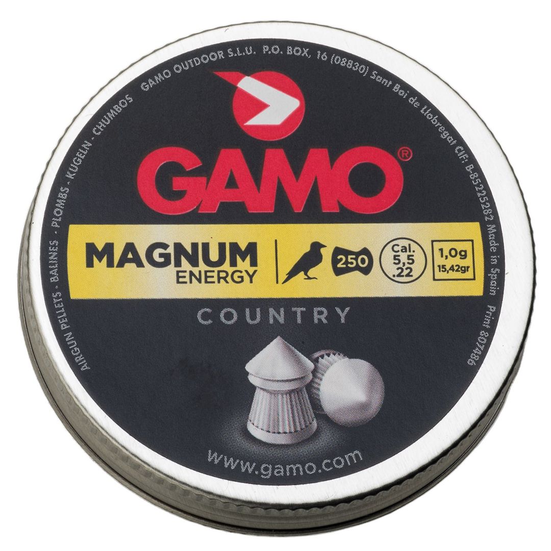 Gamo Magnum Energy .22 Cal.